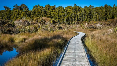 Hapuka Estuary Walk